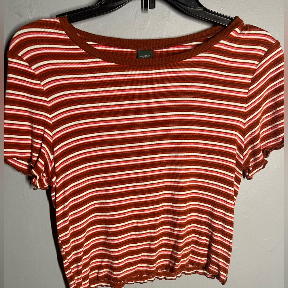 Burnt orange stripped cropped tee from target